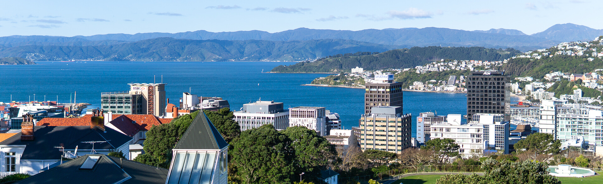 23 BEST Things to Do in Wellington – Ultimate 2023 Guide