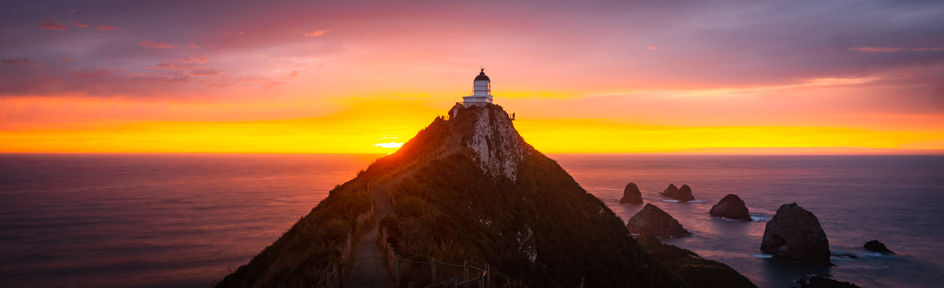 Nugget Point Lighthouse – Everything You Need to Know