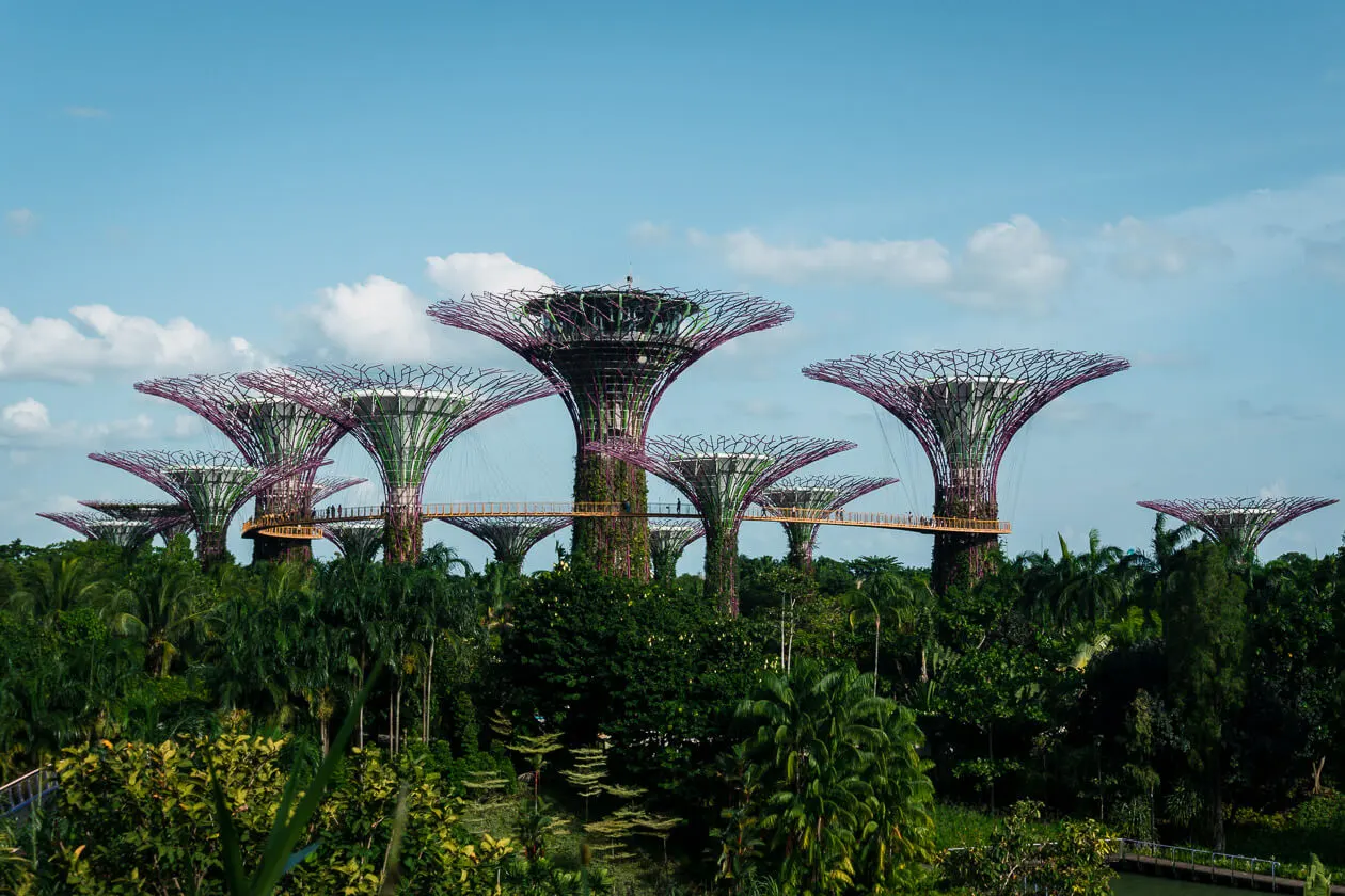 The OCBC Skyway and Supertree Grove in Gardens by the Bay Singapore.
