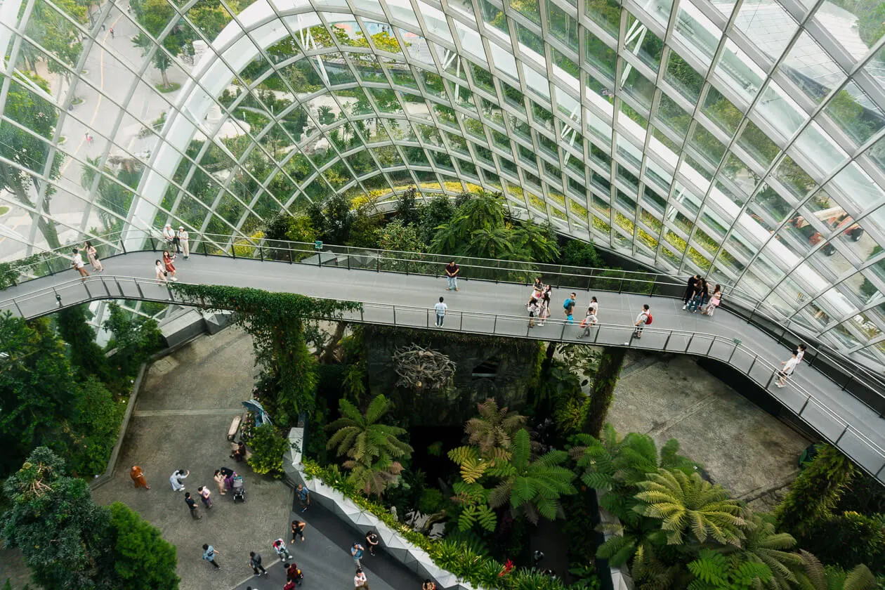 Birds eye view from inside the Cloud Forest at Gardens by the Bay Singapore.